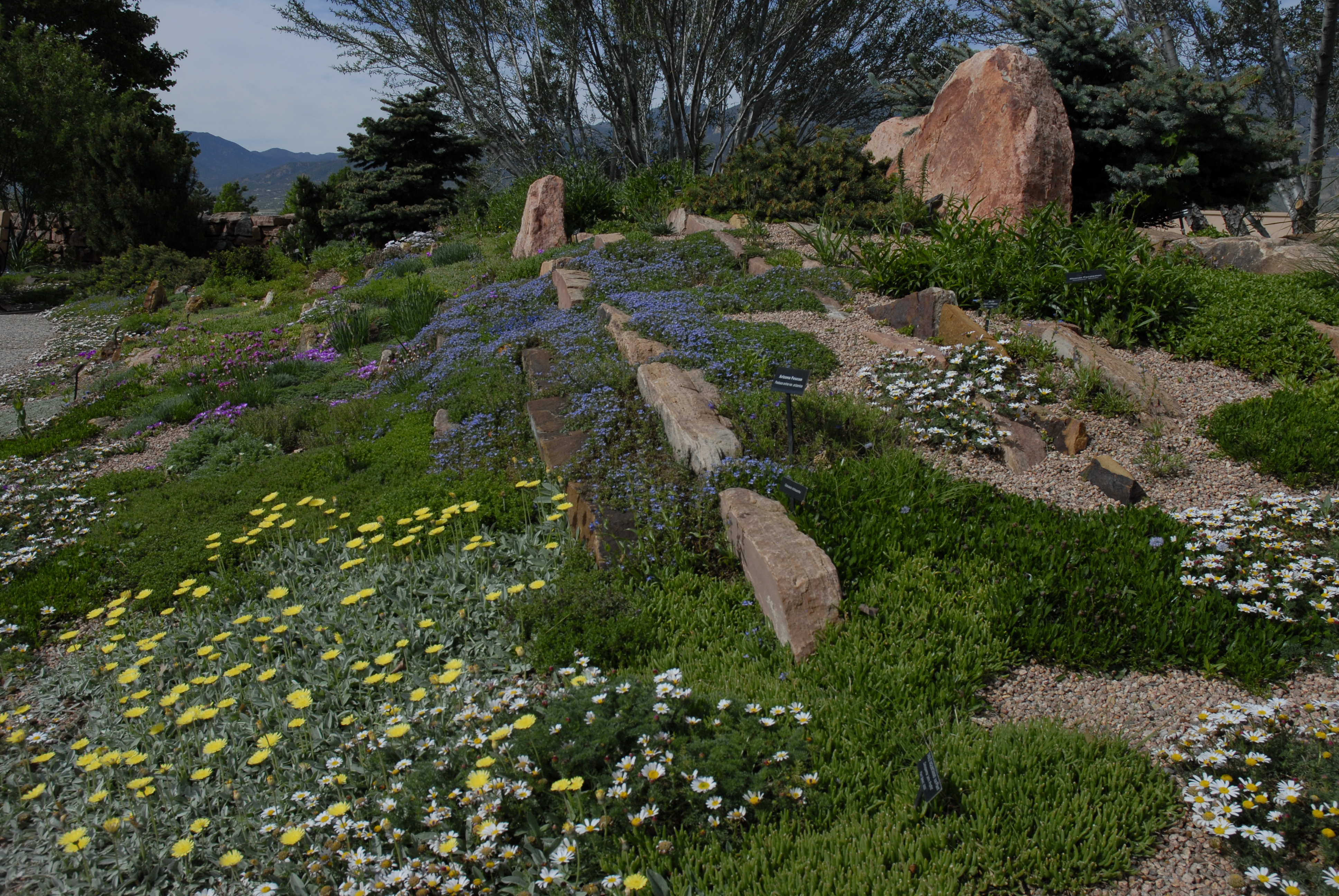 Rock Crevice Garden
